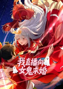 第九块屏动漫海报